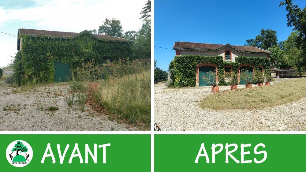 Avant / après lierre façade ancienne